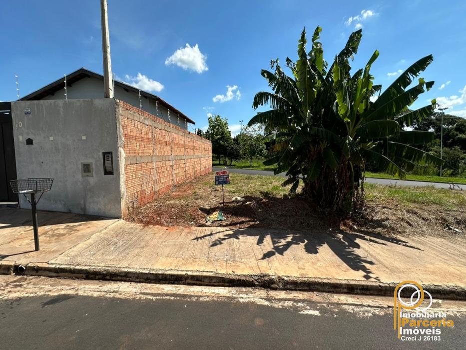 WhatsApp Image 2026-02-20 at 11.22.34 (1).jpeg